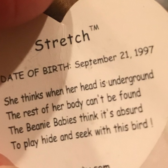 TY STRETCH OSTRICH - Picture 7 of 7